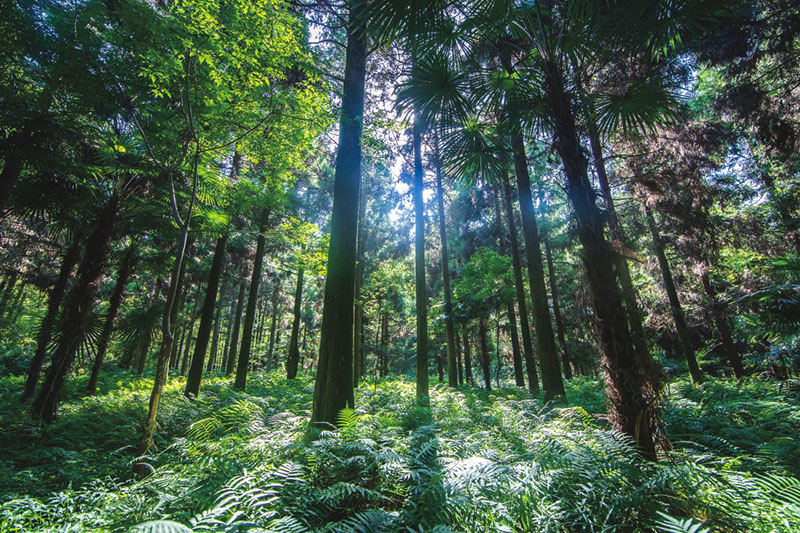 個(gè)性化定制,讓家煥發(fā)新魅力